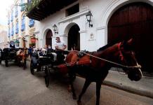 Los célebres coches de caballos de Cartagena: ¿un oficio o maltrato animal?