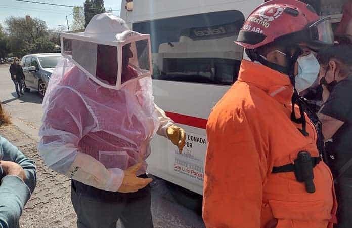 Familia es atacada por abejas, PC las atiende