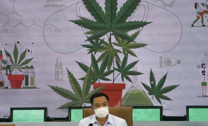 Tailandia distribuirá plantas de marihuana gratis