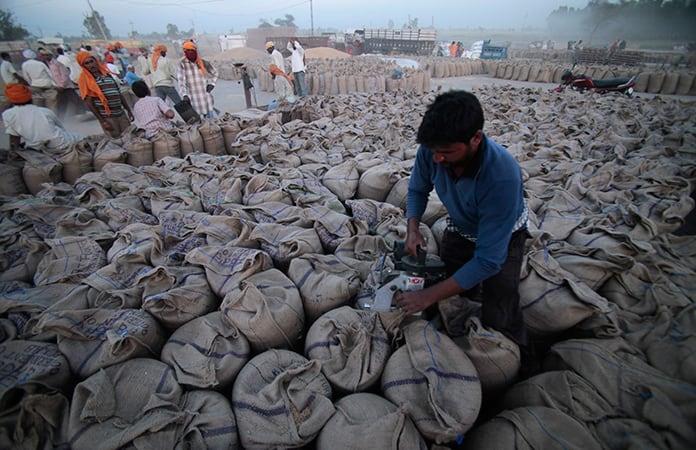 India veta la exportación de trigo